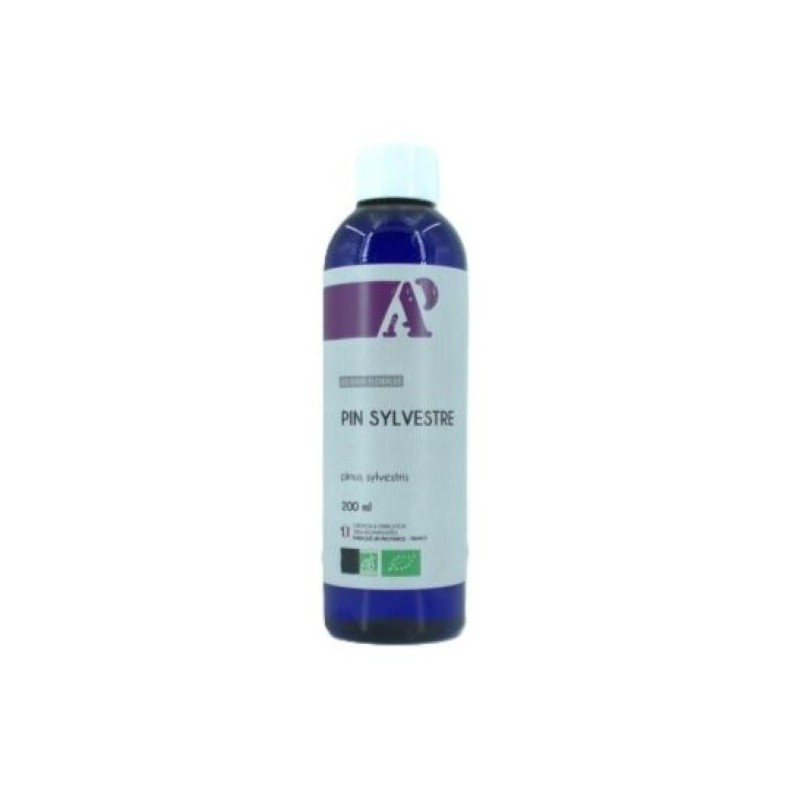 Scots Pine - Floral water - Organic