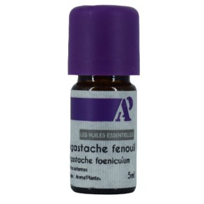 Agastache fennel - essential oil - organic