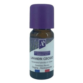 Grosso Lavendin - essential oil- organic