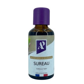 Sureau bio - Macérât de bourgeons
