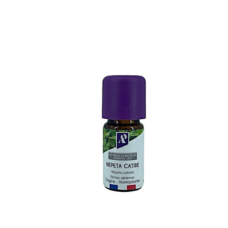 Catnip - essential oil - organic