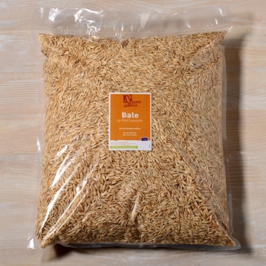 Small spelt grain envelope