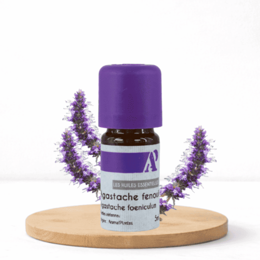 Agastache Fenouil bio - Huile essentielle - Aroma'Plantes