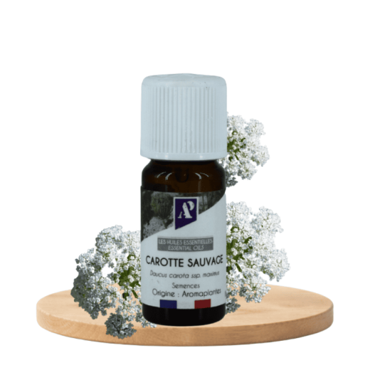 Huile essentielle de Carotte sauvage biologique