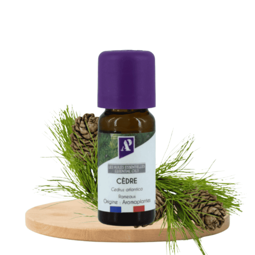 Cedar twig - essential oil - organic - Aroma'Plantes
