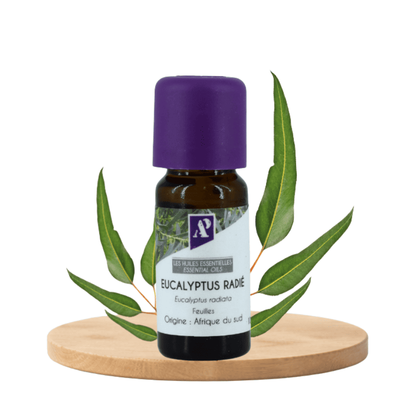 Huile essentielle d'Eucalyptus Radiata biologique