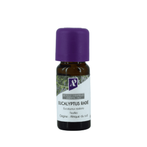 Huile essentielle d'Eucalyptus Radiata biologique