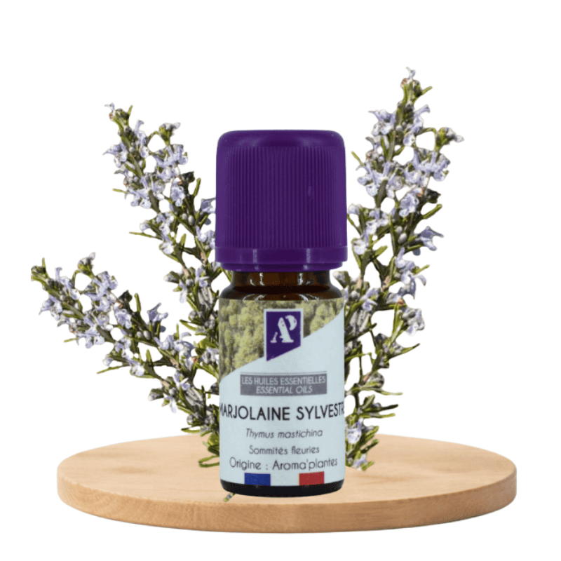 Spanish Marjoram - essential oil - organic - Aroma'Plantes