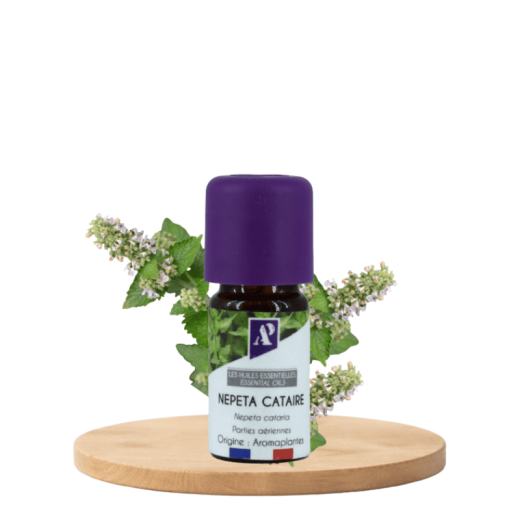 Catnip - essential oil - organic - Aroma'Plantes