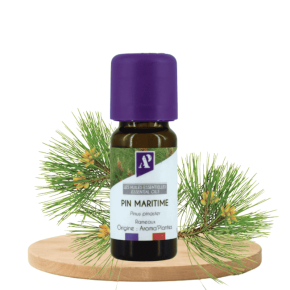 Maritime Pine - essential oil - organic - Aroma'Plantes