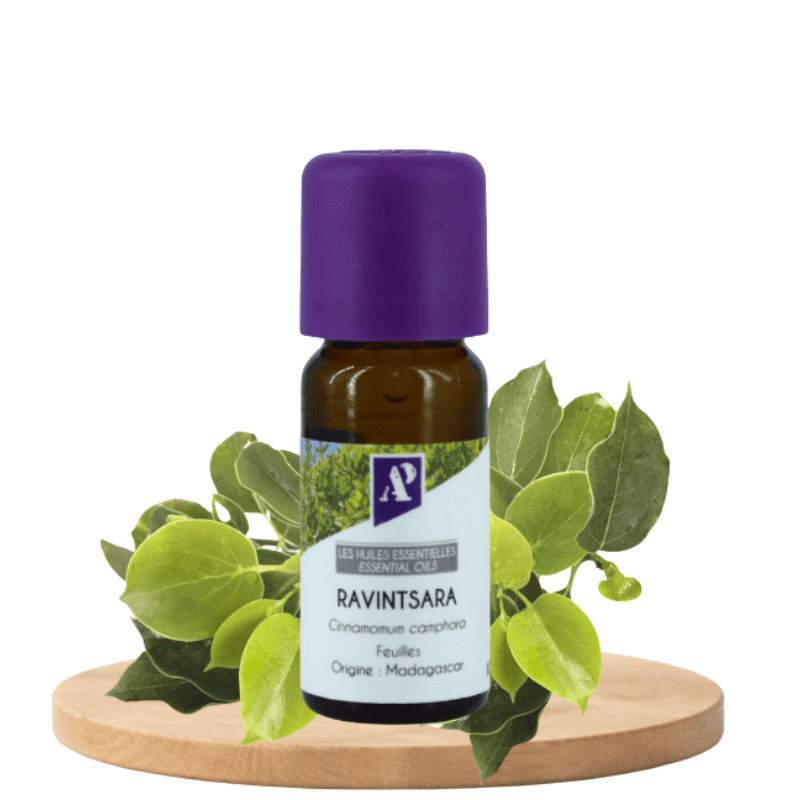 Huile essentielle de Ravintsara biologique