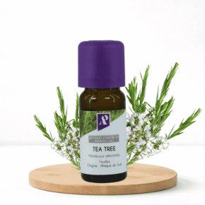 Huile essentielle de Tea tree biologique