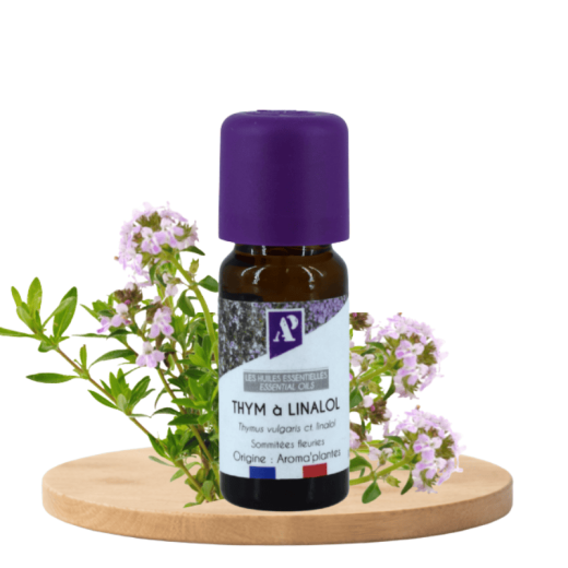 Linalol Thyme - essential oil - organic - Aroma'Plantes