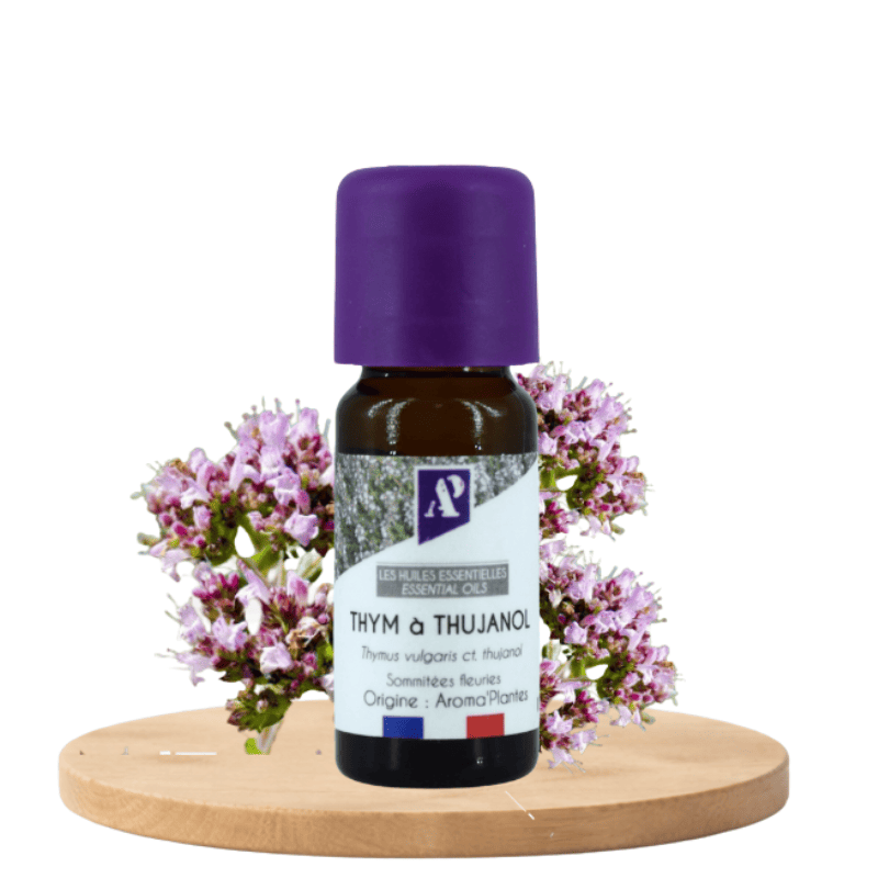 Thym à thujanol bio - Huile essentielle - Aroma'Plantes