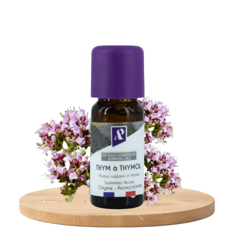 Huile essentielle de thym thymol biologique