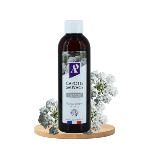 Eau florale de Carotte sauvage biologique