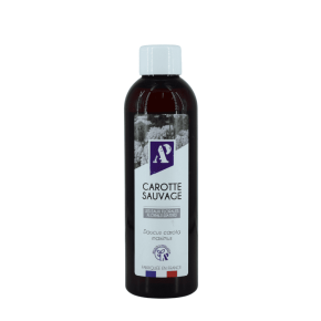 Wild Carrot - Floral Water - Organic - view 2 - Aroma'Plantes
