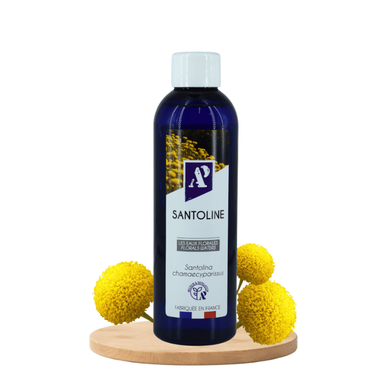 Santolina - Floral water - Organic - Aroma'Plantes