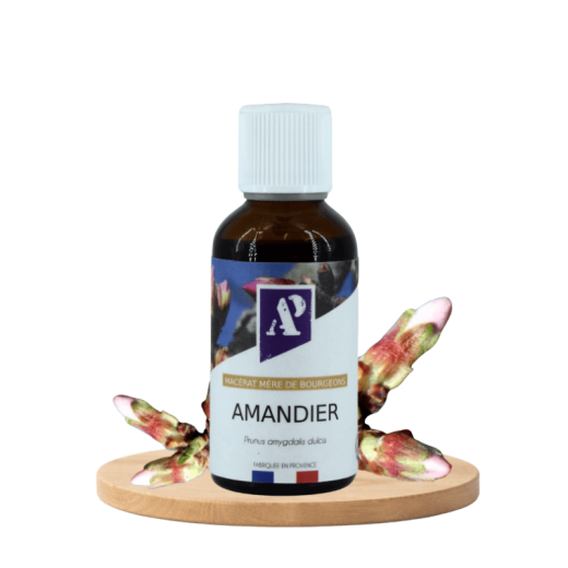 Almond tree - Bud Macerate - Organic - Aroma'Plantes