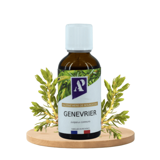 Macérât de bourgeons de Genévrier biologique