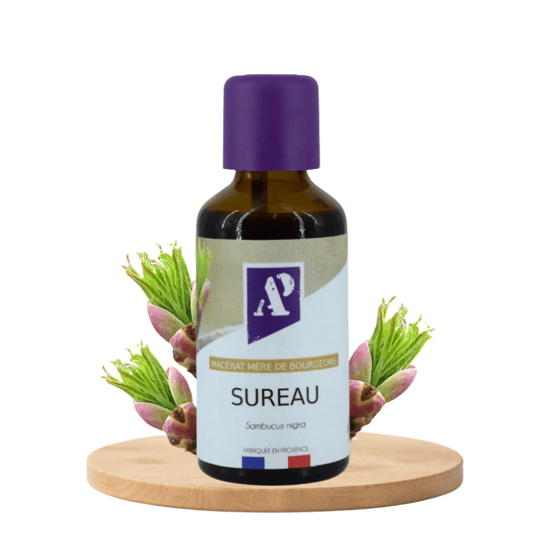 Elder - Bud macerate - Organic - Aroma'Plantes