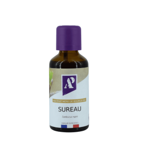 Elder - Bud macerate - Organic - view 2 - Aroma'Plantes