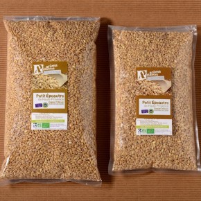 Small spelt grains