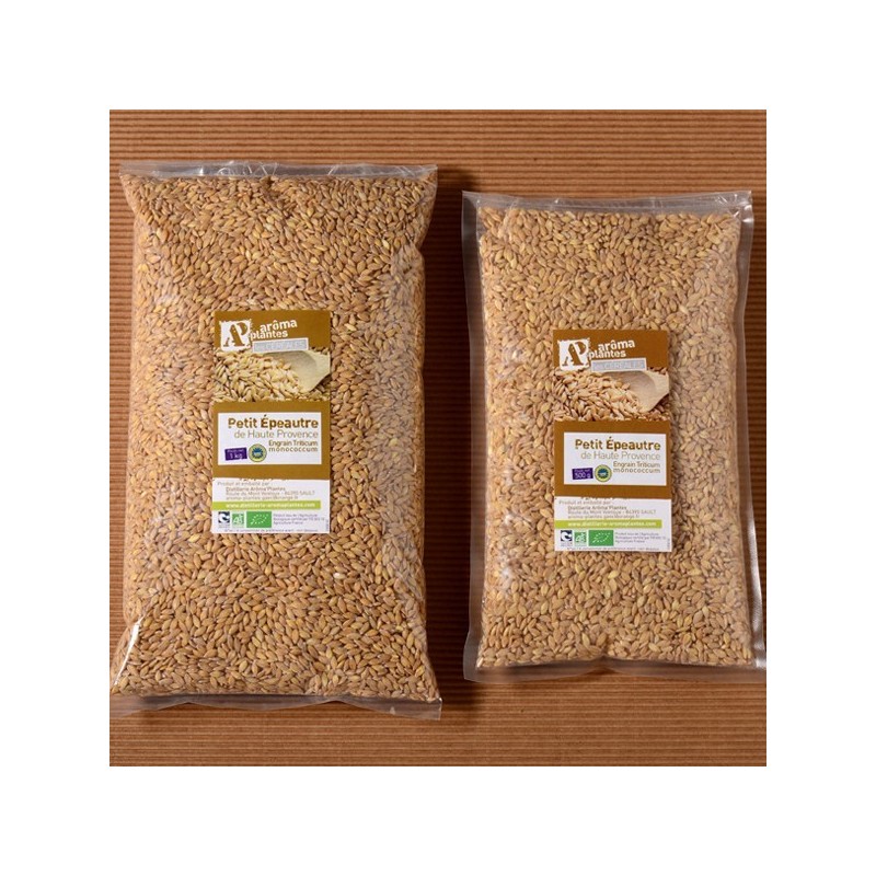 Small spelt grains